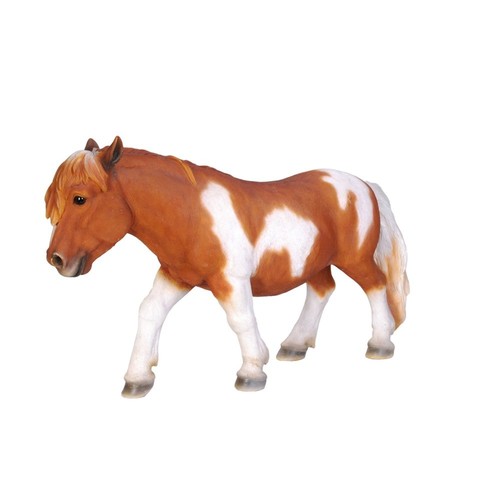 Shetland pony brown - shetland, pony-brown/white